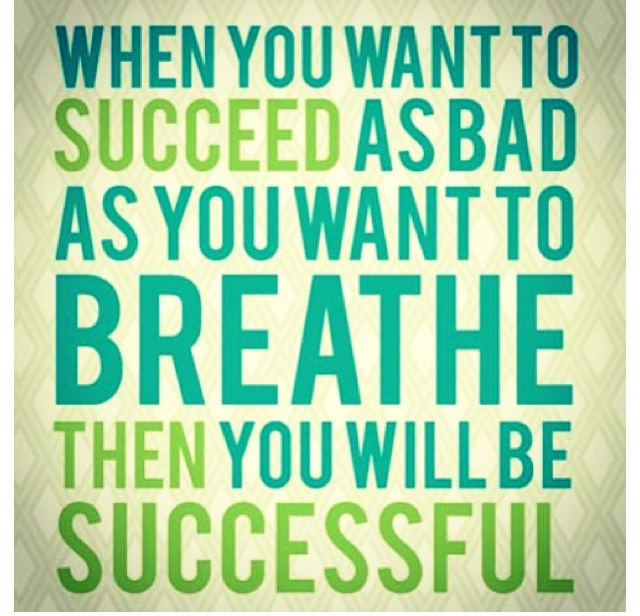 Quote- When You Want To Succeed